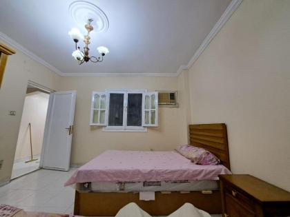 الجيزه محطه مشعل الهرم خلف كارفور - image 13