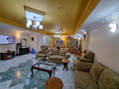 الجيزه محطه مشعل الهرم خلف كارفور - image 22