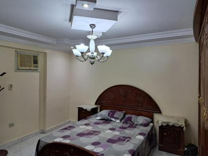 الجيزه محطه مشعل الهرم خلف كارفور - image 4