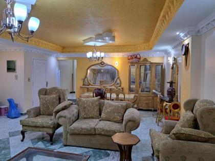 الجيزه محطه مشعل الهرم خلف كارفور - image 8