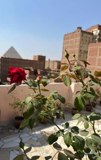 pyramid view inn - image 20