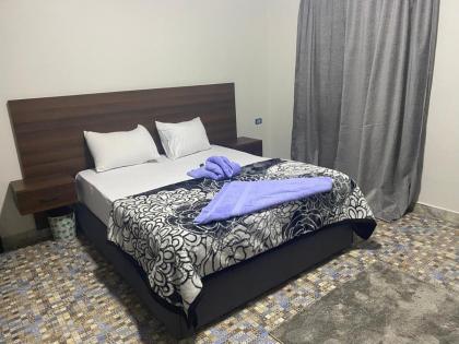 pyramids and Sphinx - image 22