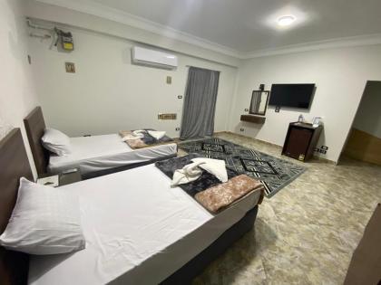 pyramids and Sphinx - image 26