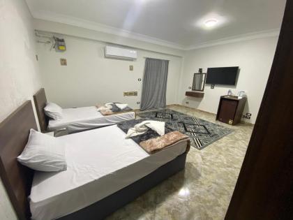 pyramids and Sphinx - image 28