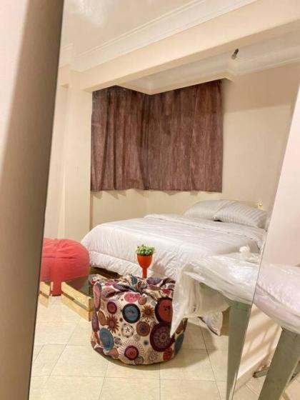 Luxary wooden apartment near airport - image 2