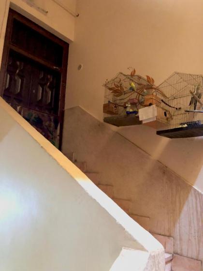 Solly Pyramids Guest House - image 18