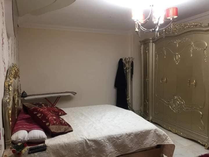 Holiday - image 5