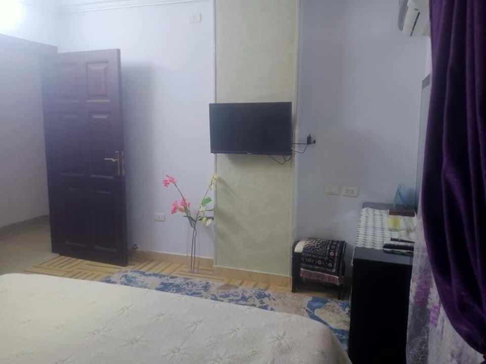 Holiday - image 7