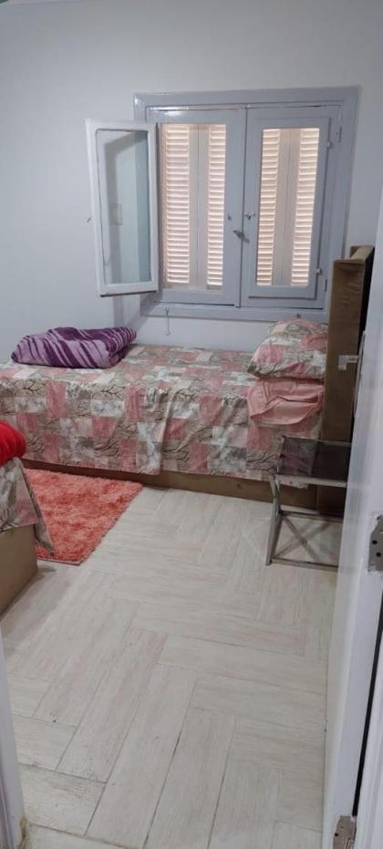 Nasr city Cozy Studio _ 2 bedrooms - image 6