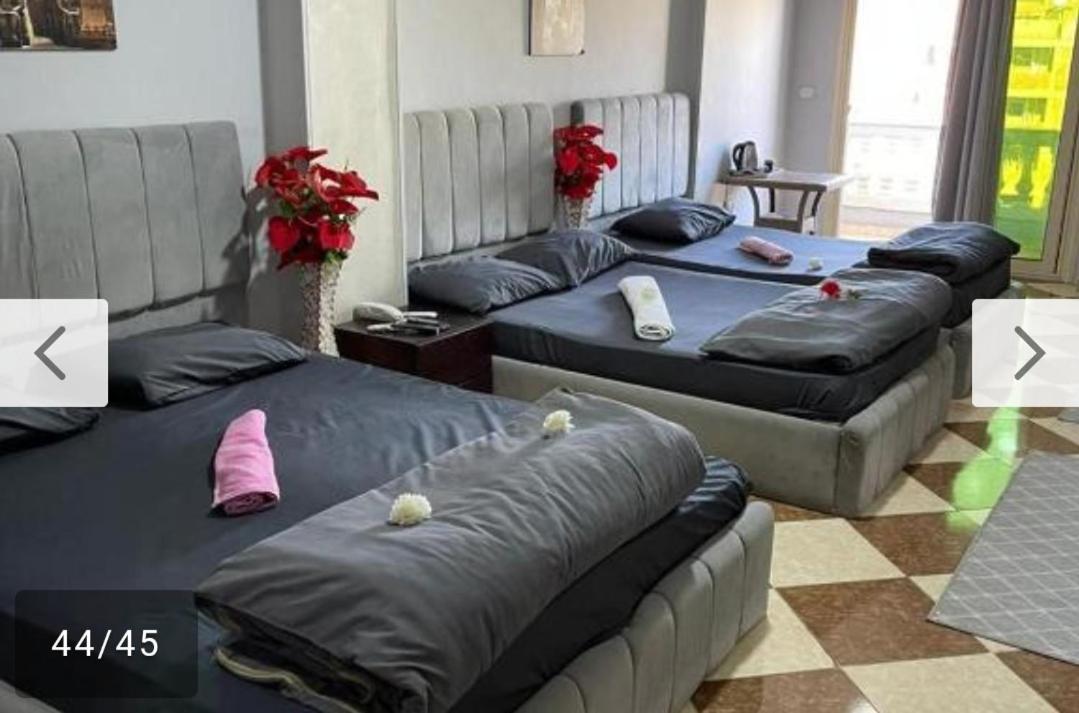 Hotel pyramid stars inn - image 5