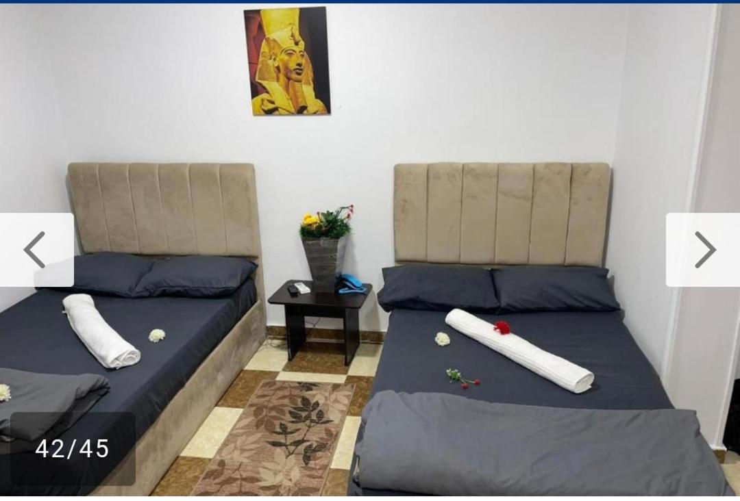 Hotel pyramid stars inn - image 6