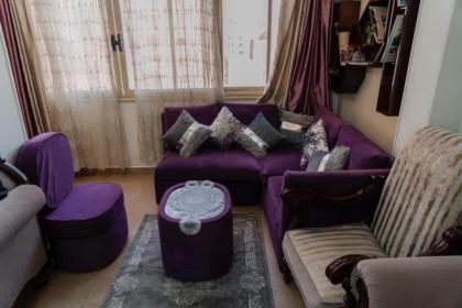 شقه فندقيه للإيجار بمدينة نصر عباس العقاد Hotel apartment in nasr city for rent - image 3