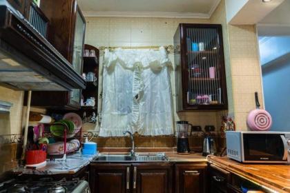 شقه فندقيه للإيجار بمدينة نصر عباس العقاد Hotel apartment in nasr city for rent - image 30