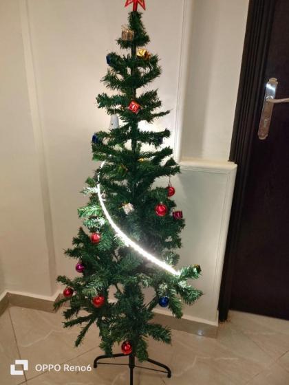 Pyramids Nile Inn - image 21