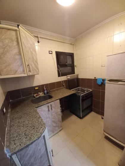حدائق الاهرام - image 7
