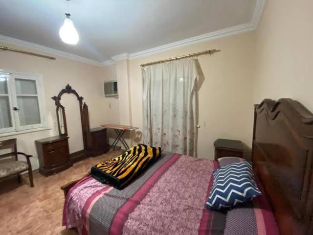 شارع الهرم - image 4