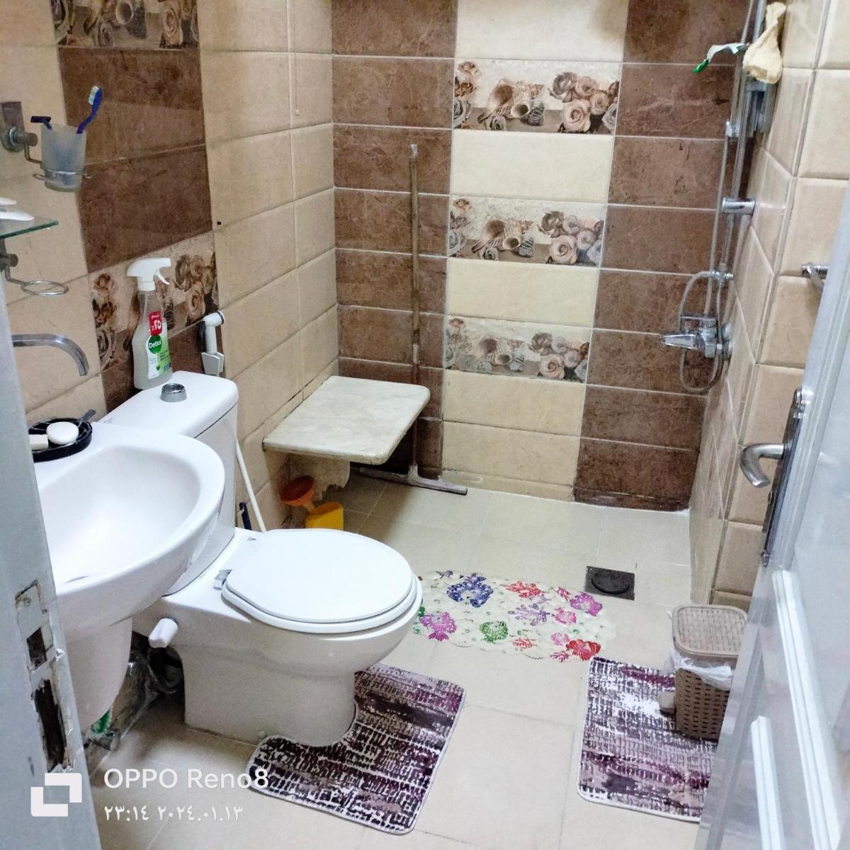 العجوزة المهندسين مسرح البالون العجوزة - image 3