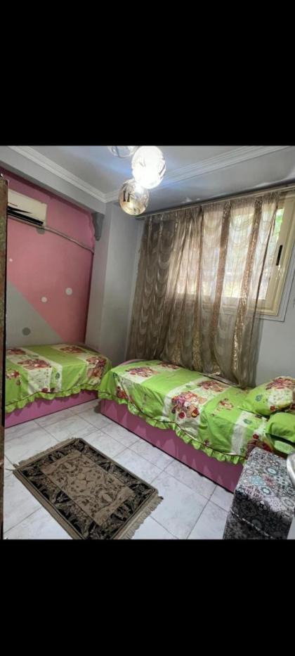 العجوزة المهندسين مسرح البالون العجوزة - image 7